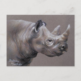 Carte Postale African Rhino Drawing Postcard