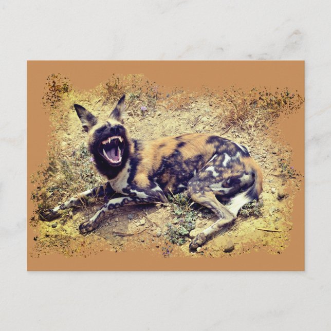 Carte Postale African Wild Dog montre ses dents (Devant)