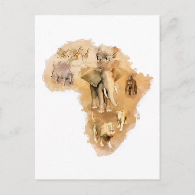Carte Postale Afrique (Devant)