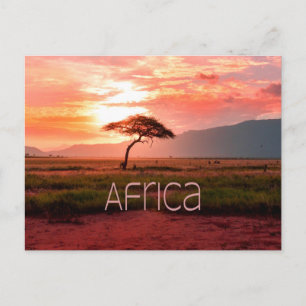 Carte Postale Afrique Coucher de soleil