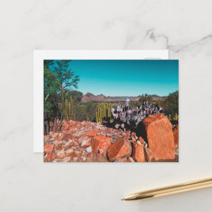 Carte Postale Afrique Désert Paysage Nature Cactus Plantes