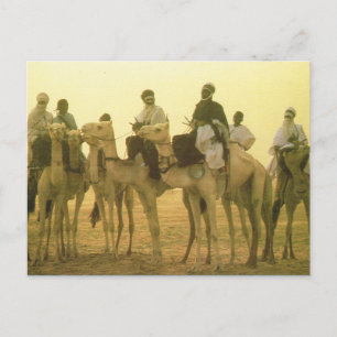 Carte Postale Afrique du Nord, Camel riders, désert algérien