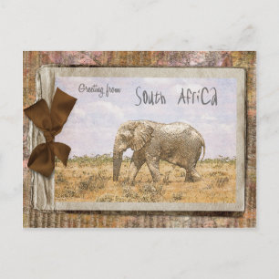 Carte Postale Afrique du Sud