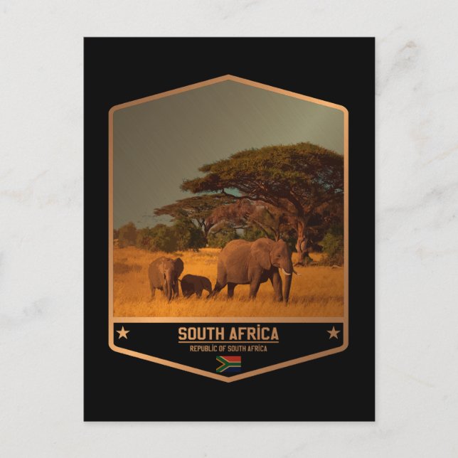 Carte Postale Afrique du Sud (Devant)