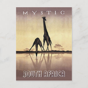Carte Postale Afrique du Sud, Giraffe, voyage vintage