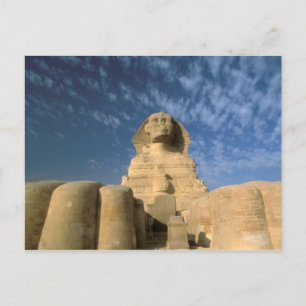 Carte Postale Afrique, Égypte, Le Caire, plateau de Gizeh. Sphin