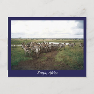 Carte Postale Afrique Kenya animaux sauvages