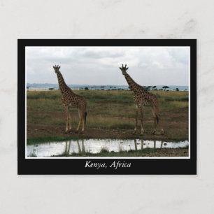 Carte Postale Afrique Kenya animaux sauvages