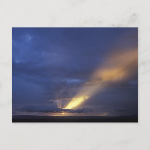 Carte Postale Afrique, Kenya, Réserve de gibier Masai Mara, Cadr