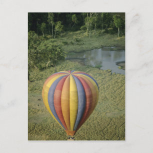 Carte Postale Afrique, Kenya, réserve nationale du Masai Mara, 3