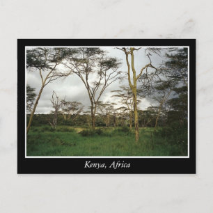 Carte Postale Afrique Kenya terre sauvage