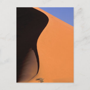 Carte Postale Afrique, Namibie, Lumière du soir sur les dunes,