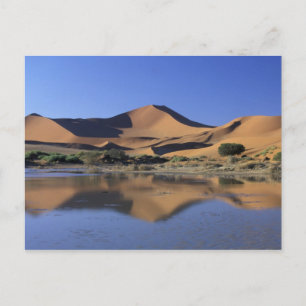 Carte Postale Afrique, Namibie, Parc national du Namib, Sossusvl
