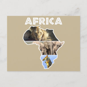 Carte postale Afrique Wildlife Continent Collage H