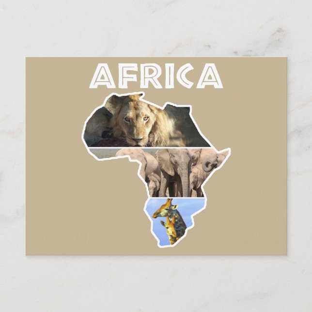 Carte postale Afrique Wildlife Continent Collage H (Devant)