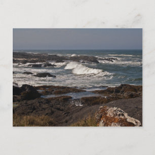 Carte Postale Agate Cove, Oregon