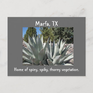 Carte Postale Agave Marfa, Texas