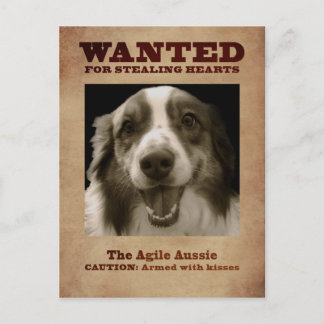 Carte Postale Agile Aussie