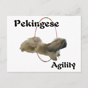 Carte Postale Agilite de Pékin