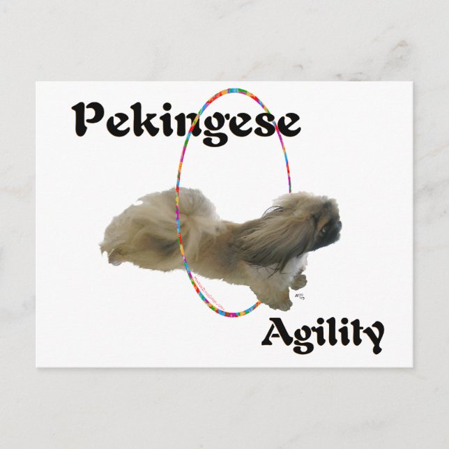 Carte Postale Agilité du Pékinois (Devant)