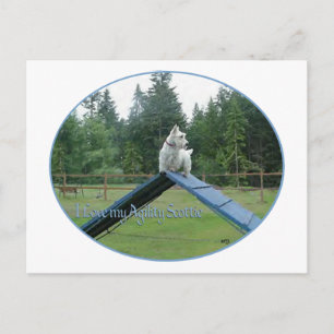 Carte Postale Agilité Wheaten Scottie
