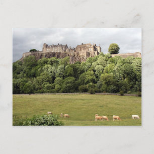 Carte Postale agiter le mouton du château