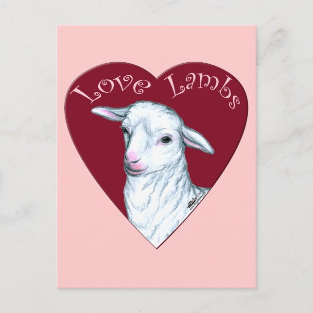 Carte Postale Agneaux d'amour (Devant)