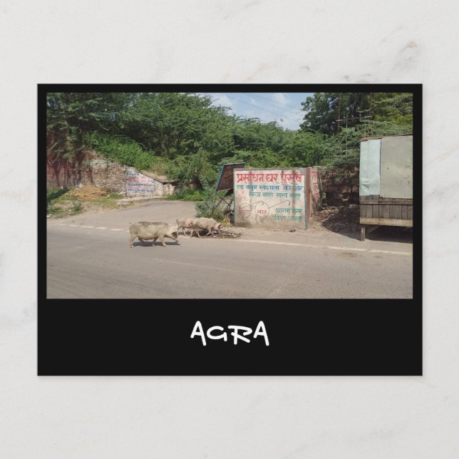 Carte Postale Agra, Uttar Pradesh (Inde) (Devant)