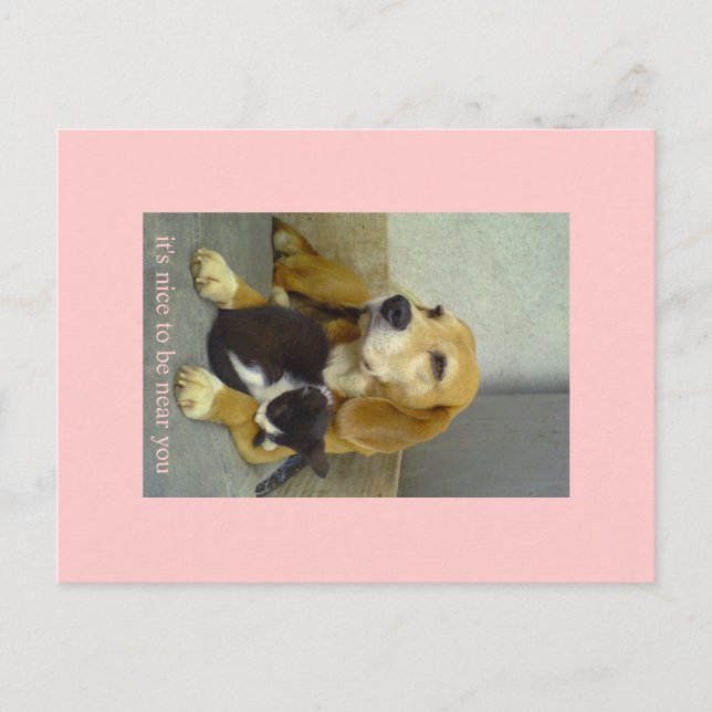 Carte Postale agréable (Devant)