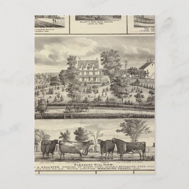 Carte Postale Agréable Hill Farm vagabonds à Decorah (Devant)