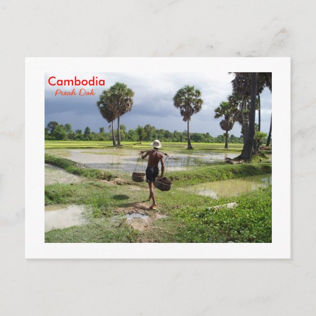 Carte Postale Agriculteur dans son champ à Preah Dak (Devant)