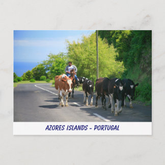 Carte Postale Agriculteur et vaches