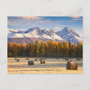 Carte Postale Agriculture en Alaska