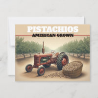 Agriculture vintage de la Pistache
