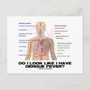 Carte Postale Ai-Je L'Air D'Avoir De La Fièvre Dengue ? (Anatomi
