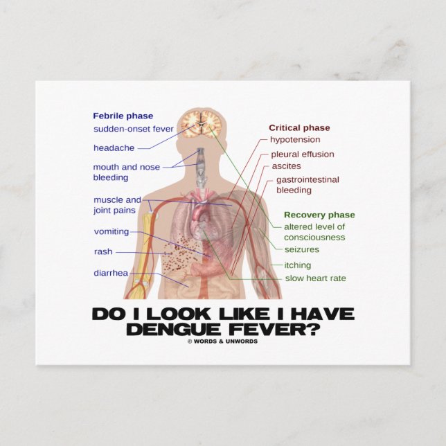 Carte Postale Ai-Je L'Air D'Avoir De La Fièvre Dengue ? (Anatomi (Devant)
