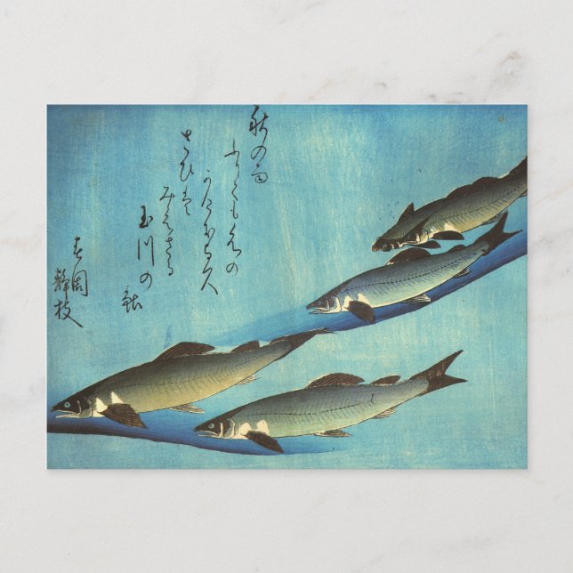 Carte Postale Ai (Trout) - Estampe japonaise de poissons de Hiro (Devant)