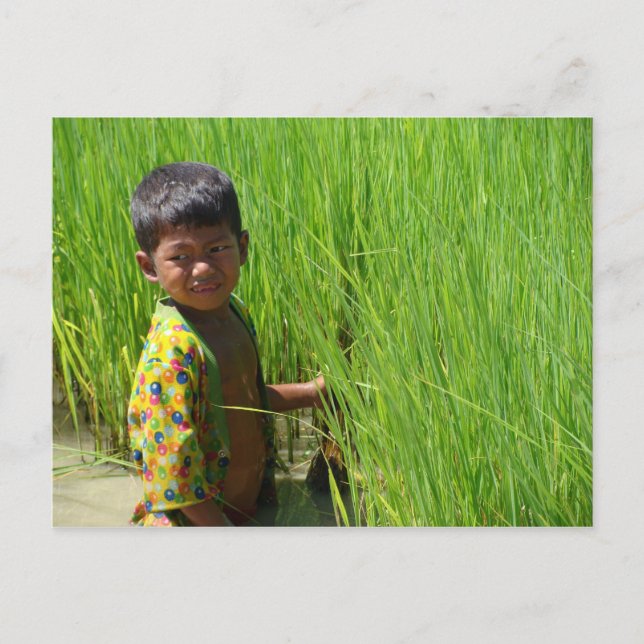 Carte Postale Aider dans les pâtes de riz (Devant)