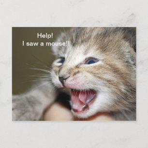 Carte Postale "Aidez-moi à voir une souris !"