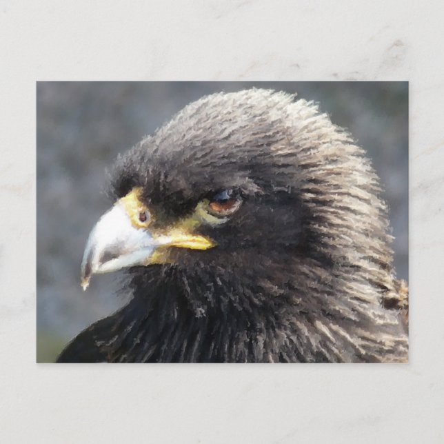 CARTE POSTALE AIGLE (Devant)