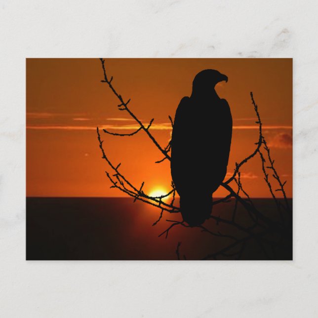 Carte Postale Aigle (Devant)
