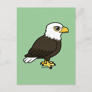 Carte Postale Aigle à tête blanche
