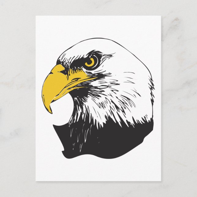 Carte Postale Aigle à tête blanche américaine (Devant)