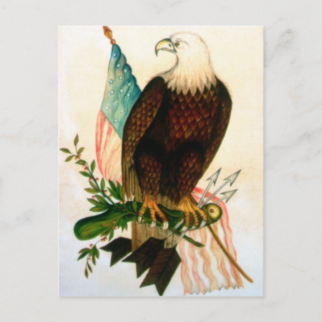 Carte Postale Aigle à tête blanche avec drapeau (Devant)