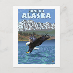 Carte Postale Aigle à tête blanche en plongée - Juneau, Alaska