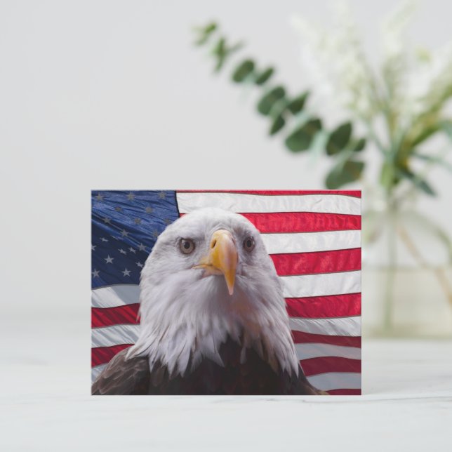 Carte Postale Aigle à tête blanche et drapeau américain (Debout devant)