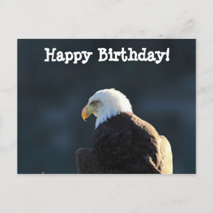 Carte Postale Aigle à tête blanche ; Joyeux anniversaire