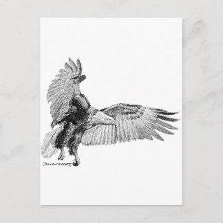 Carte Postale aigle américain