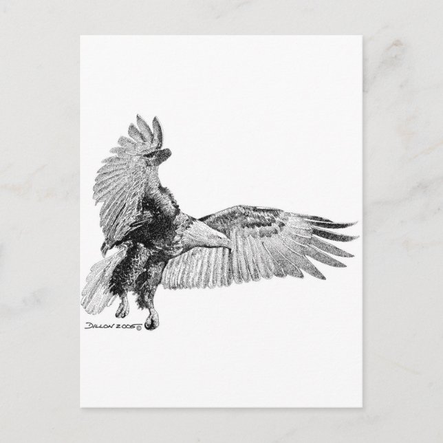 Carte Postale aigle américain (Devant)