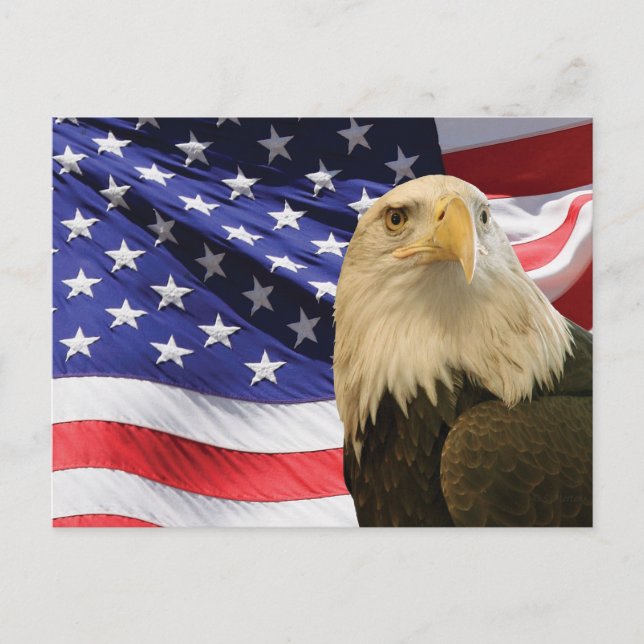 Carte Postale Aigle américain chauve et drapeau (Devant)